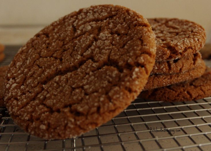 Ginger Cookies | Recipe on www.bxtchesbeblogging.com