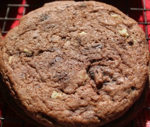Chocolate Mint Cookies | Recipe on www.bxtchesbeblogging.com